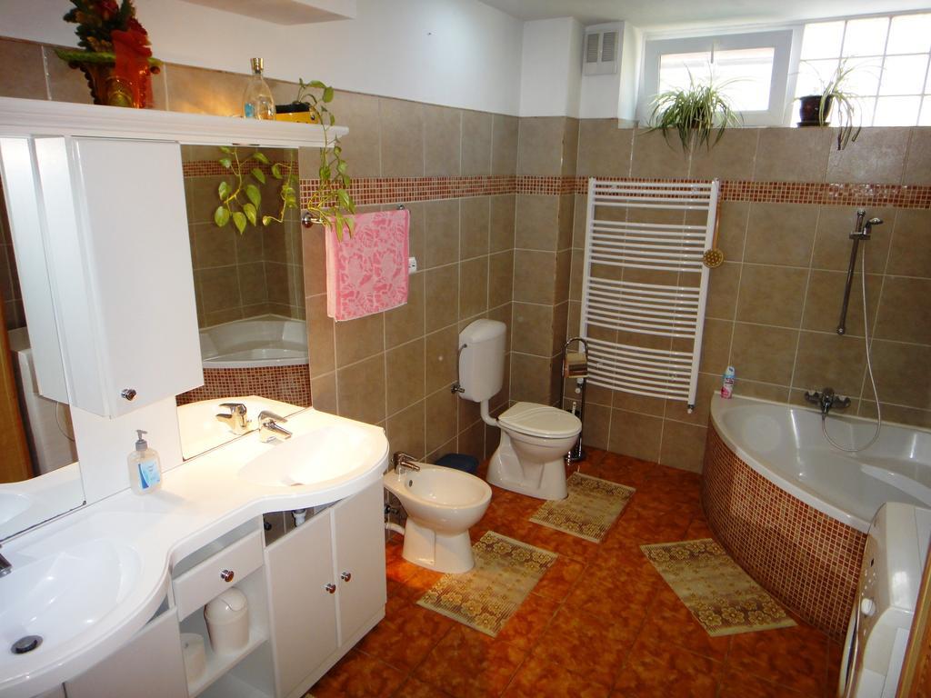 Ginkgo Apartman Demjén 객실 사진